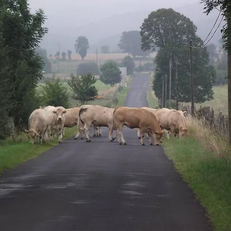 Vue Du Pont Apartmán Entraygues-sur-Truyère
