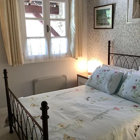 Vue Du Pont Διαμέρισμα Entraygues-sur-Truyère