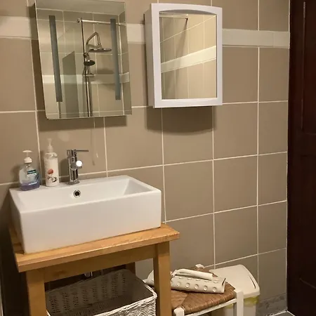 Vue Du Pont Διαμέρισμα Entraygues-sur-Truyère